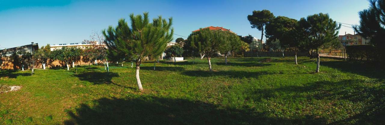 Villa Moby Dick Mytikas  Dış mekan fotoğraf